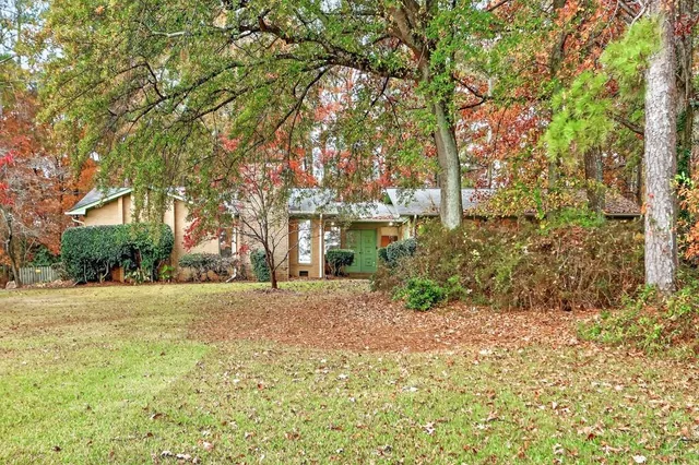 a view of a yard with plants and trees