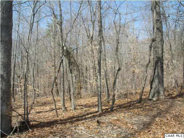 Roundabout Road Louisa, VA 23093 - Photo 1 of 2 a view of a backyard of the house