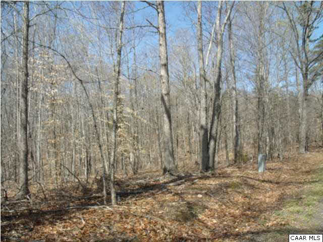 Roundabout Road Louisa, VA 23093 - Photo 2 of 2 a view of a backyard of the house