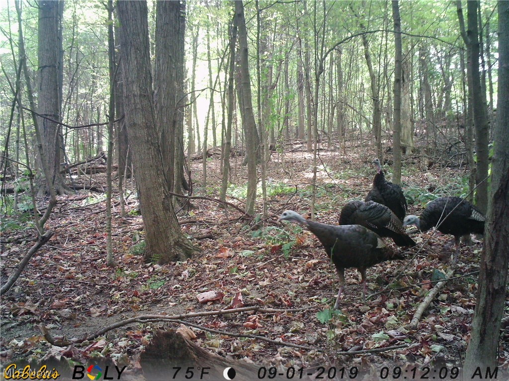 Allen Rd Mount Mount Vernon, OH 43050 - Photo 17 of 24