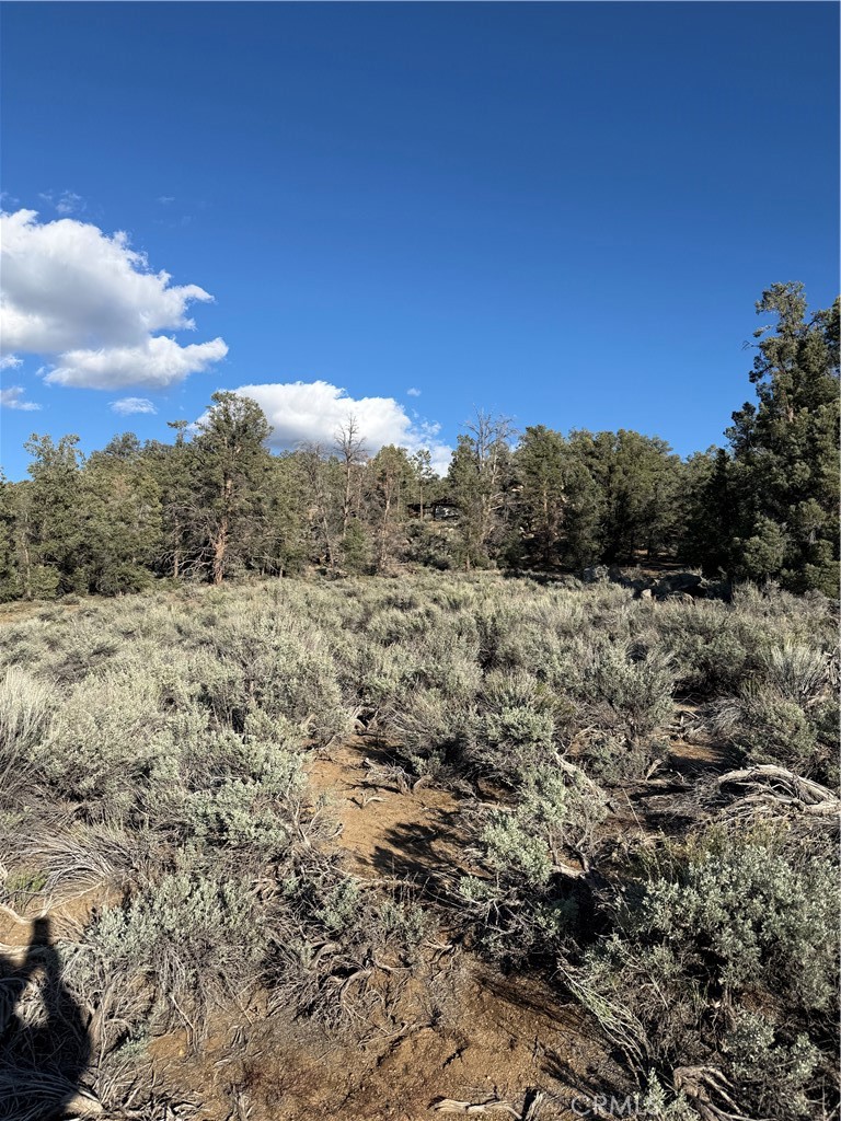 96484 Kennedy Meadow Road Inyokern, CA 93527 - Photo 28 of 42 a view of a field with trees in the background