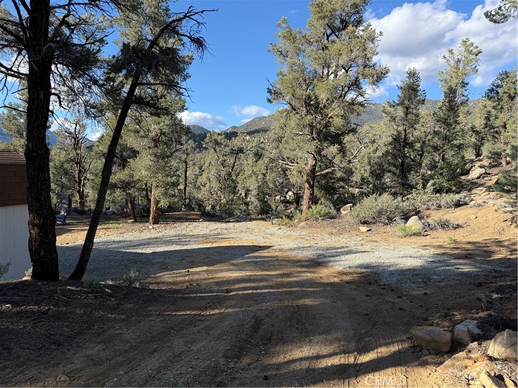 96484 Kennedy Meadow Road Inyokern, CA 93527 - Photo 33 of 42 a view of dirt yard with a large tree