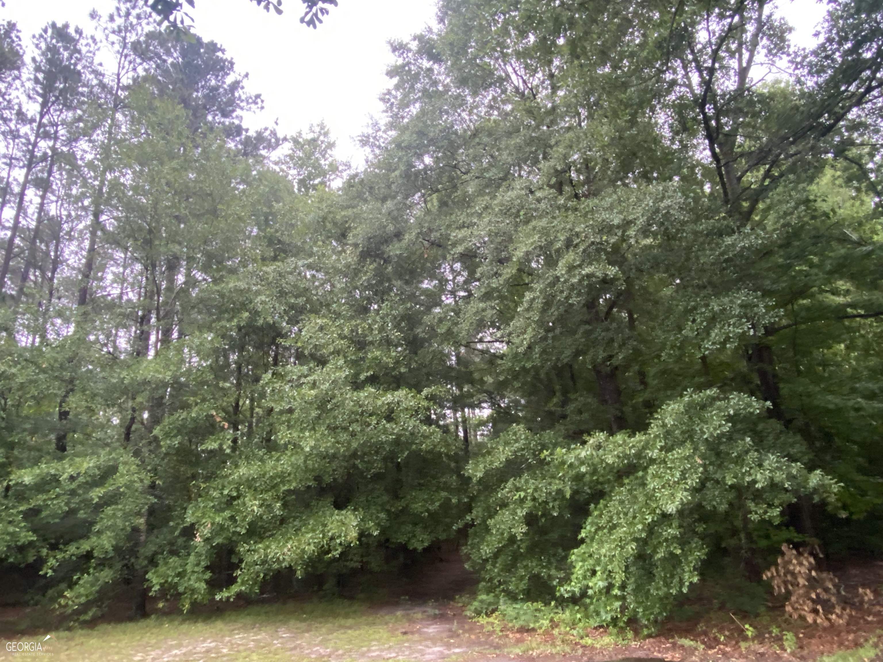 0 East Sheppard Street Stapleton, GA 30823 - Photo 1 of 1 an aerial view of residential house with outdoor space and trees all around