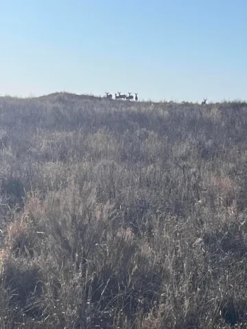 a view of a dry field