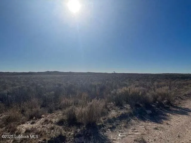 a view of a dry field