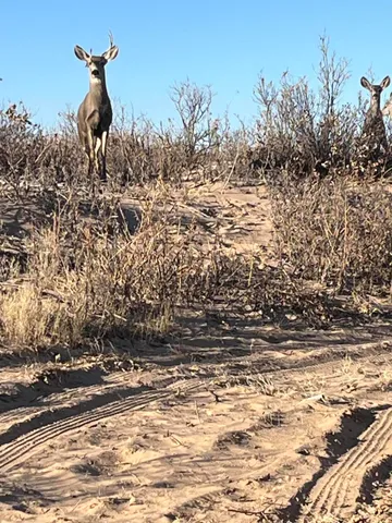 a picture of a lake view