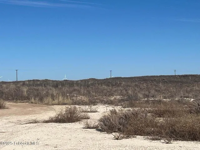 a view of a dry yard with mountains