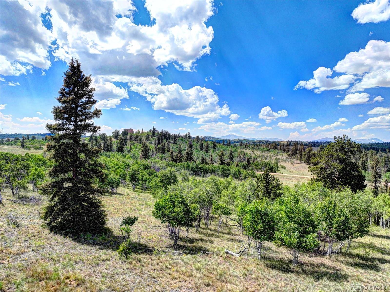1883 Buffalo Ridge Road Como, CO 80456 - Photo 6 of 19 Gallery Image 6