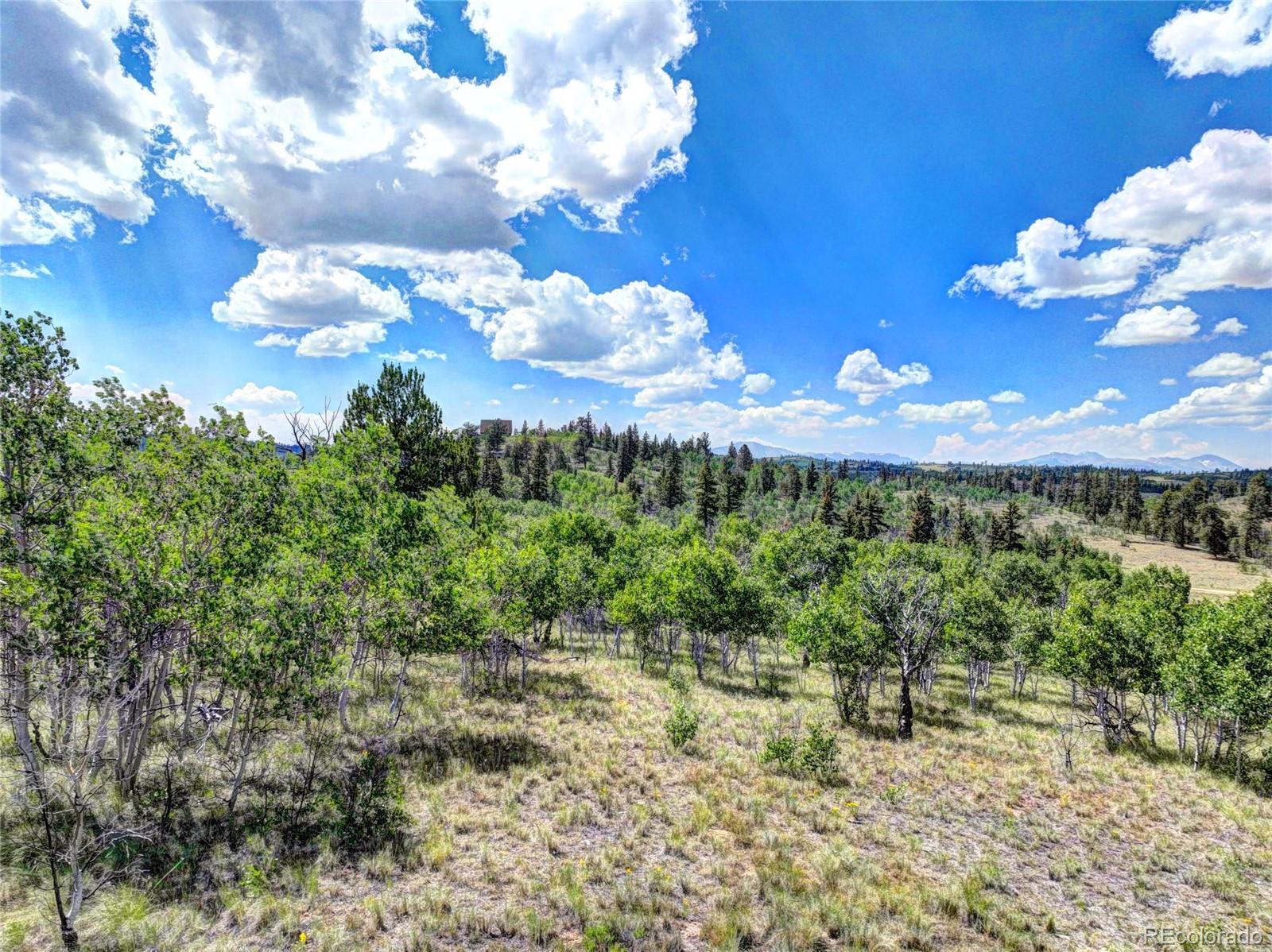 1883 Buffalo Ridge Road Como, CO 80456 - Photo 7 of 19 Gallery Image 7