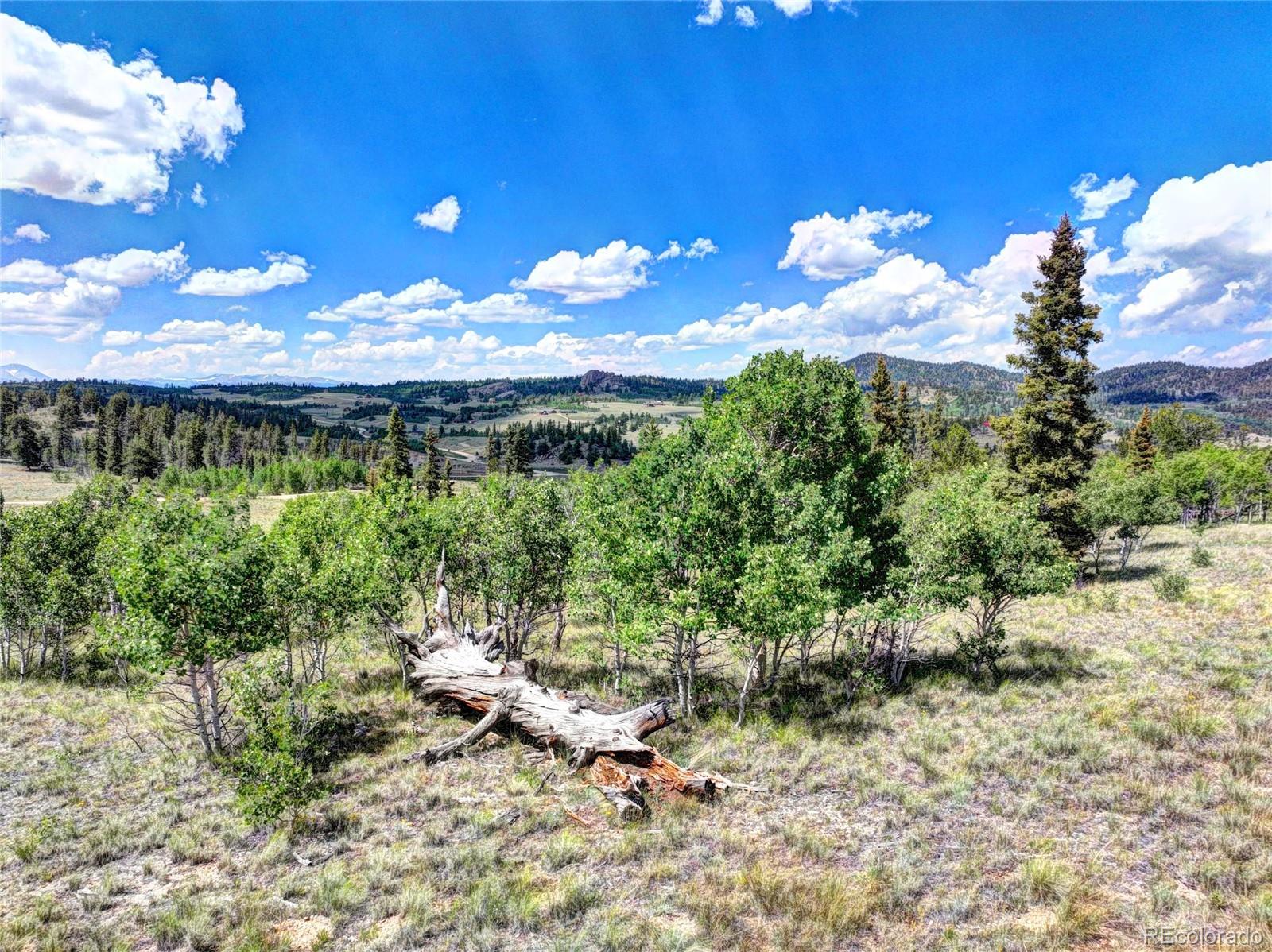 1883 Buffalo Ridge Road Como, CO 80456 - Photo 8 of 19 Gallery Image 8