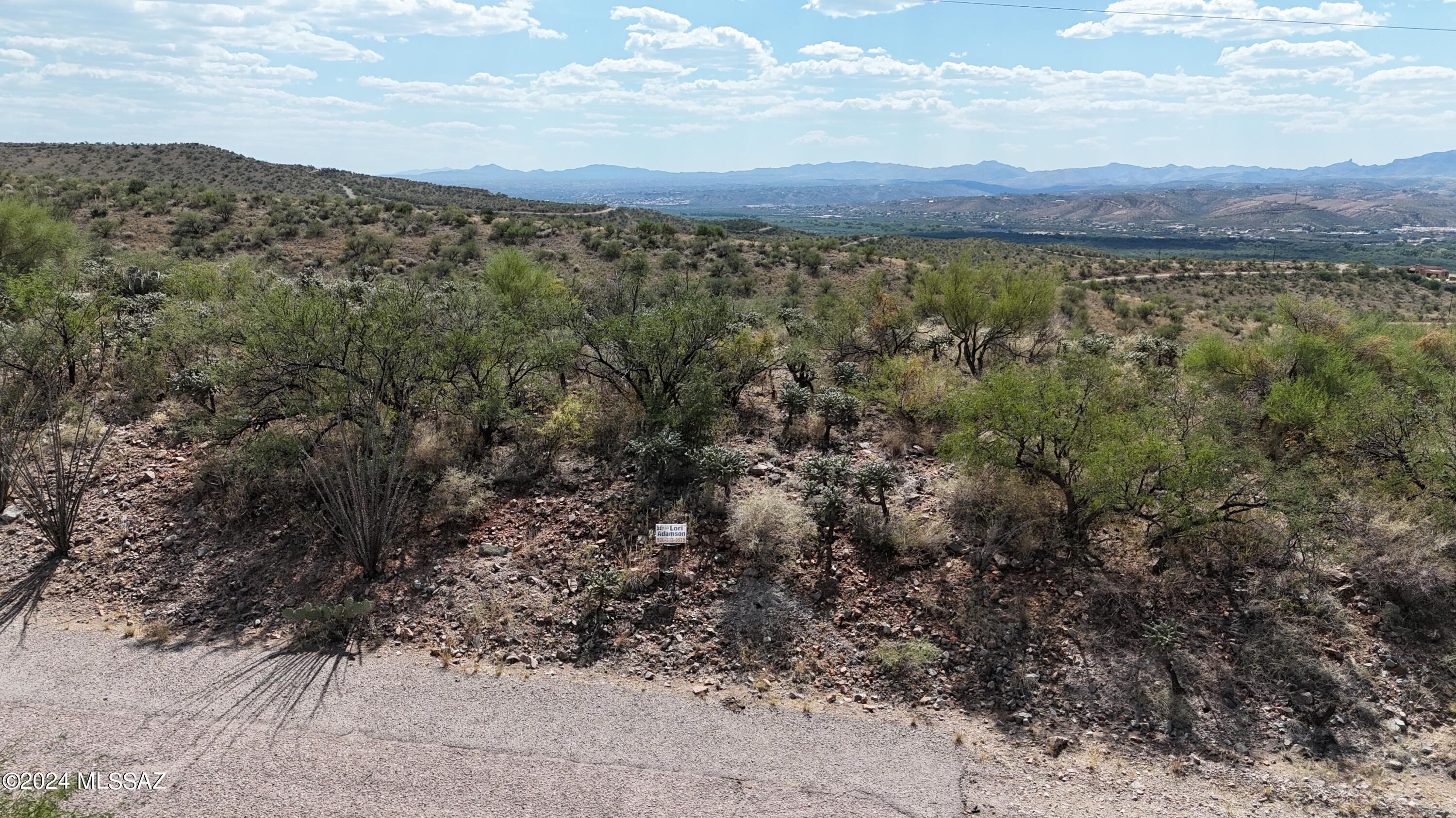 217 Vereda Cabrilla Lane, Unit 49 Rio Rico, AZ 85648 - Photo 11 of 21