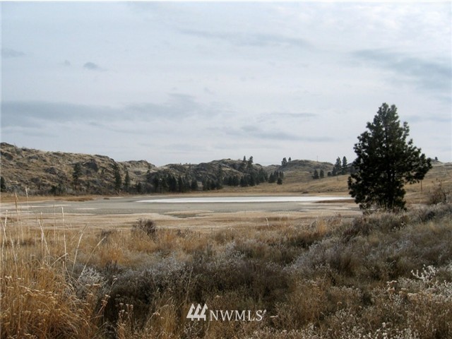 0 Cameron Lake Loop Road Okanogan, WA 98840 - Photo 3 of 10 Gallery Image 3