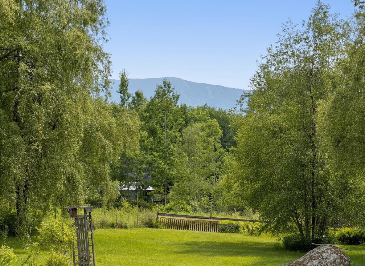 99 Bushnell Road Waitsfield, VT 05673 - Photo 3 of 56