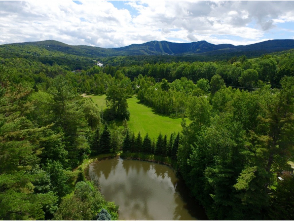 48 South View Path Killington, VT 05751 - Photo 8 of 35