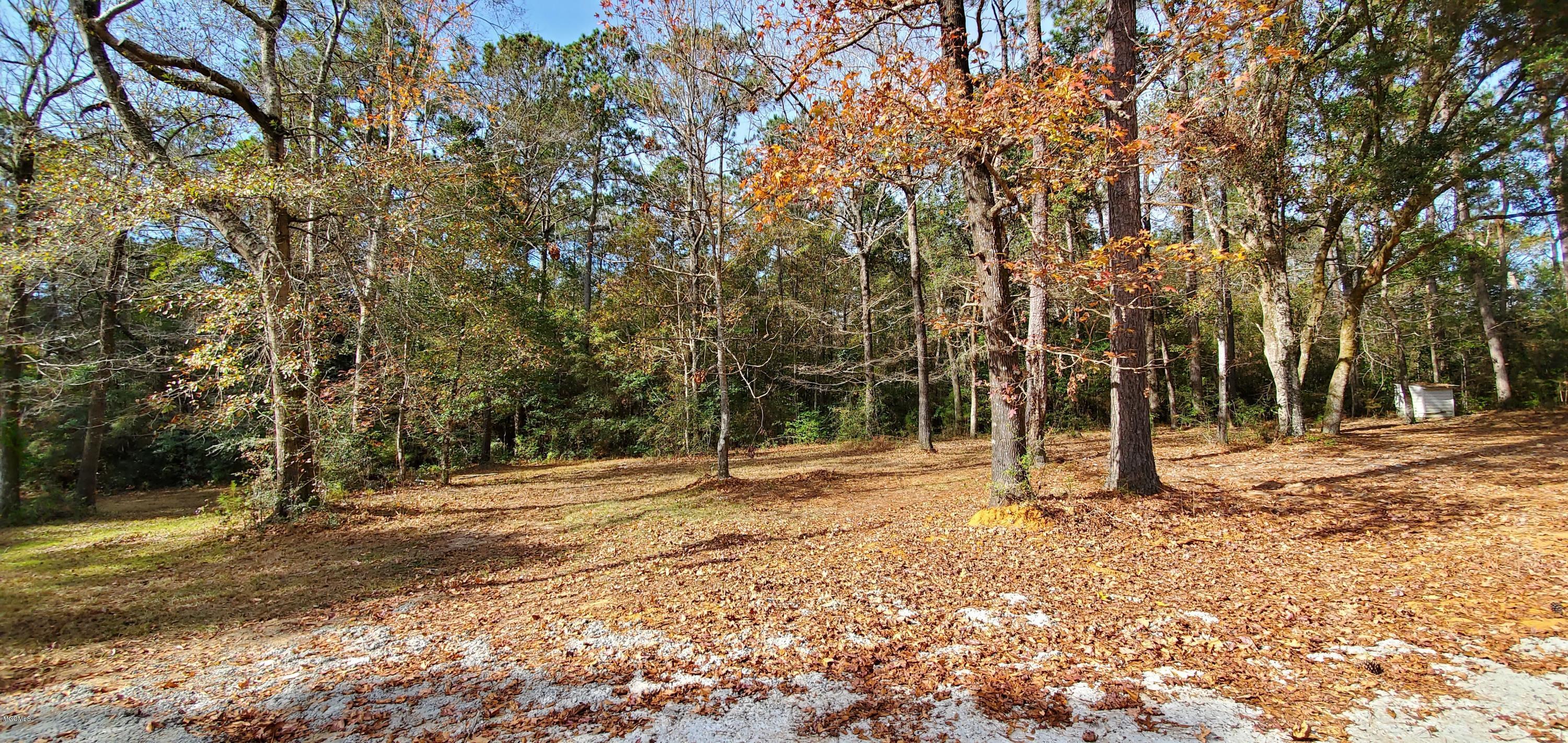 17701 Old River Road Vancleave, MS 39565 - Photo 63 of 78 20191205_102432