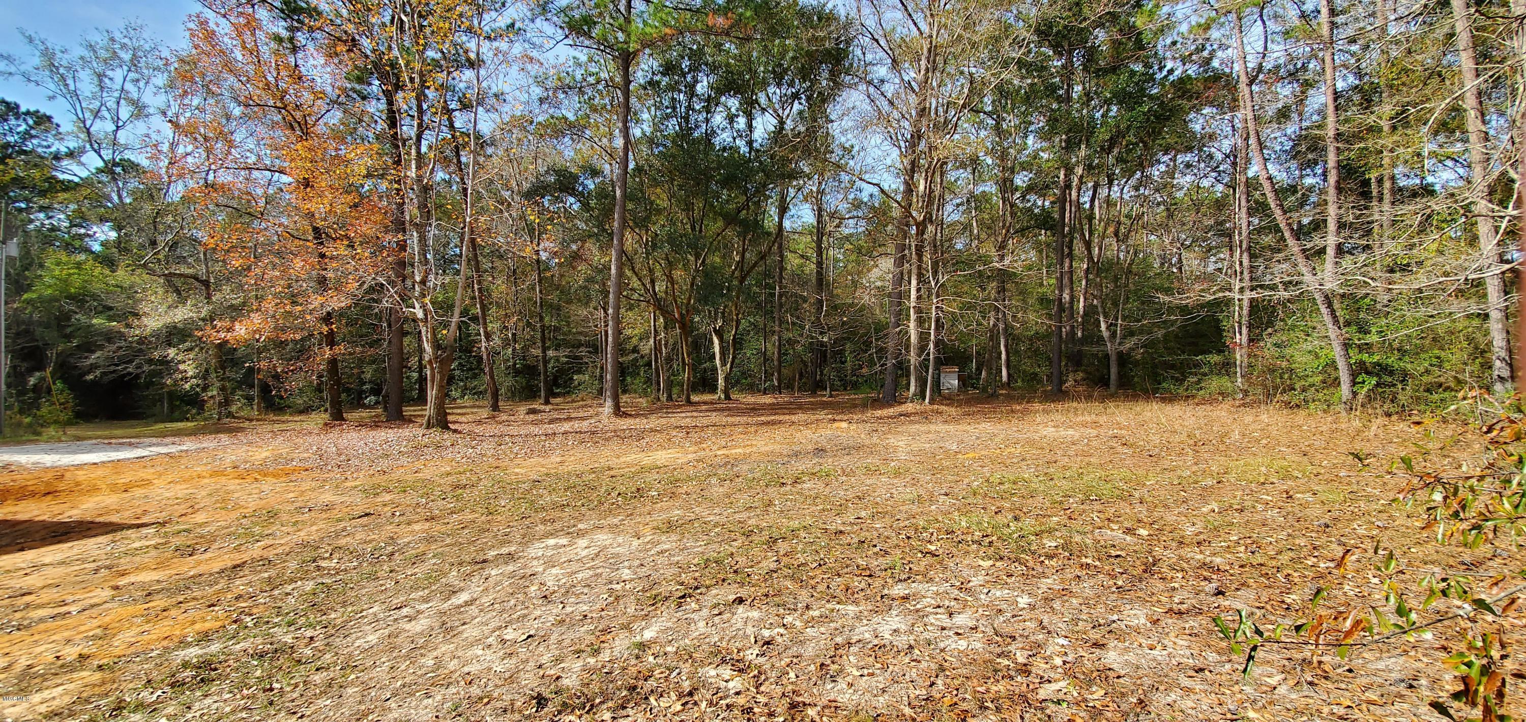 17701 Old River Road Vancleave, MS 39565 - Photo 64 of 78 20191205_102619