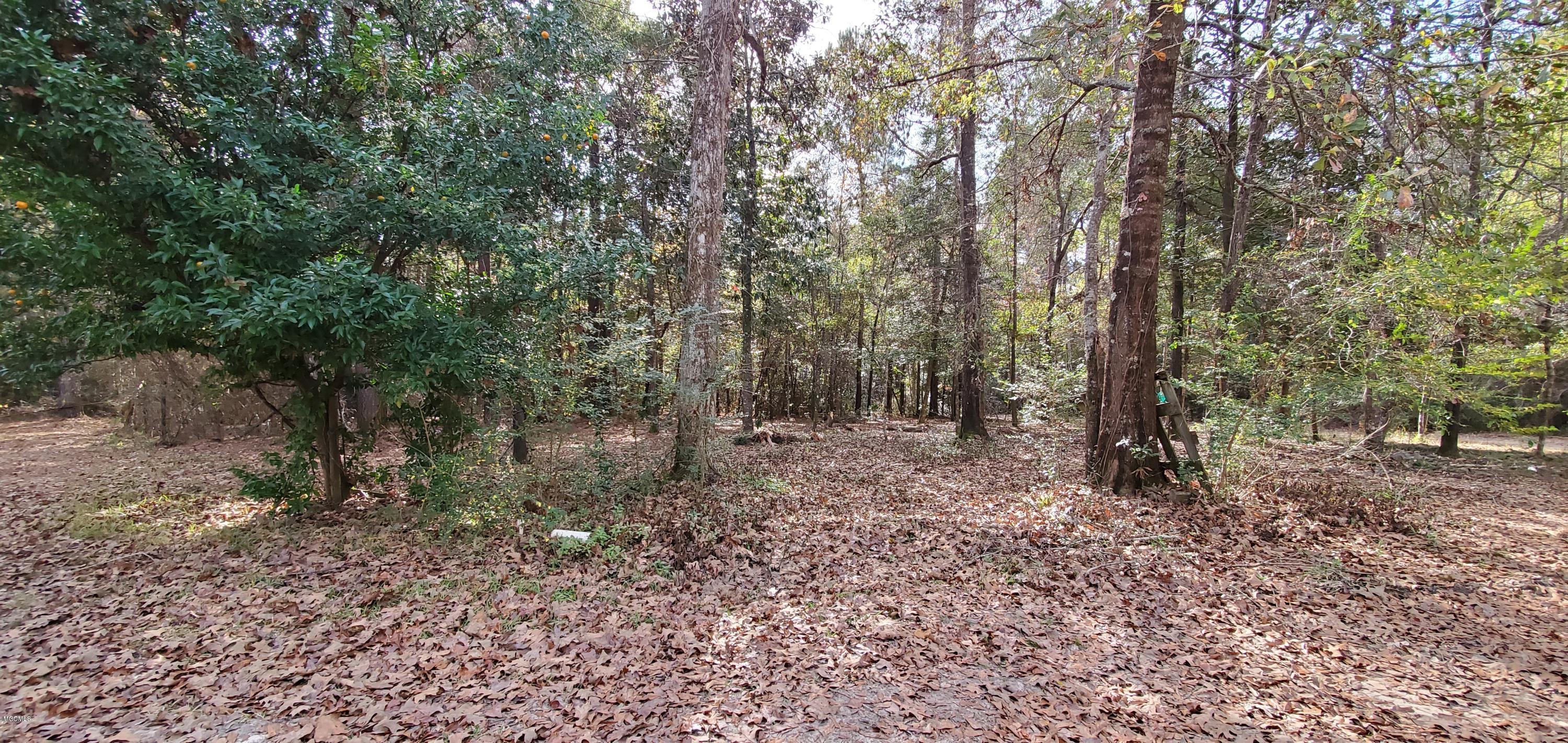 17701 Old River Road Vancleave, MS 39565 - Photo 72 of 78 20191205_102806
