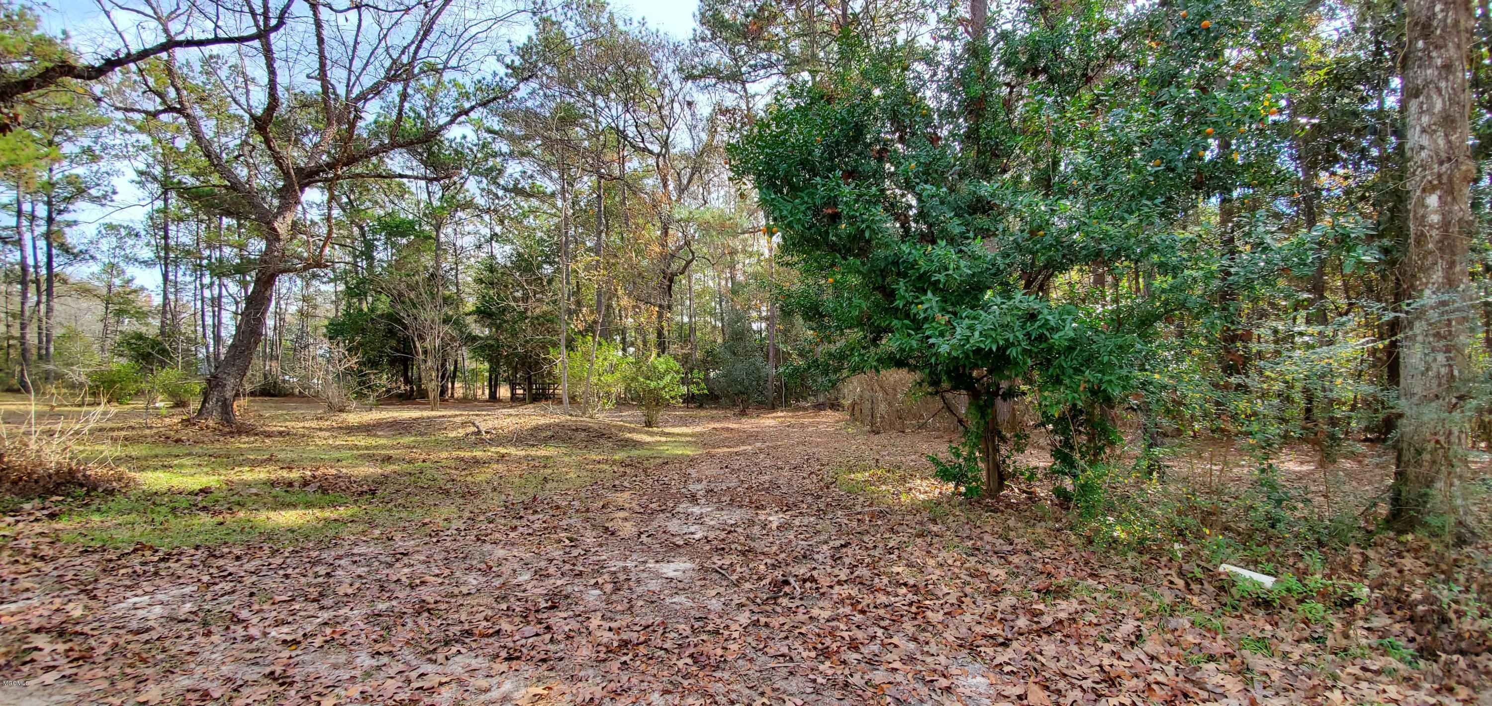 17701 Old River Road Vancleave, MS 39565 - Photo 73 of 78 20191205_102809