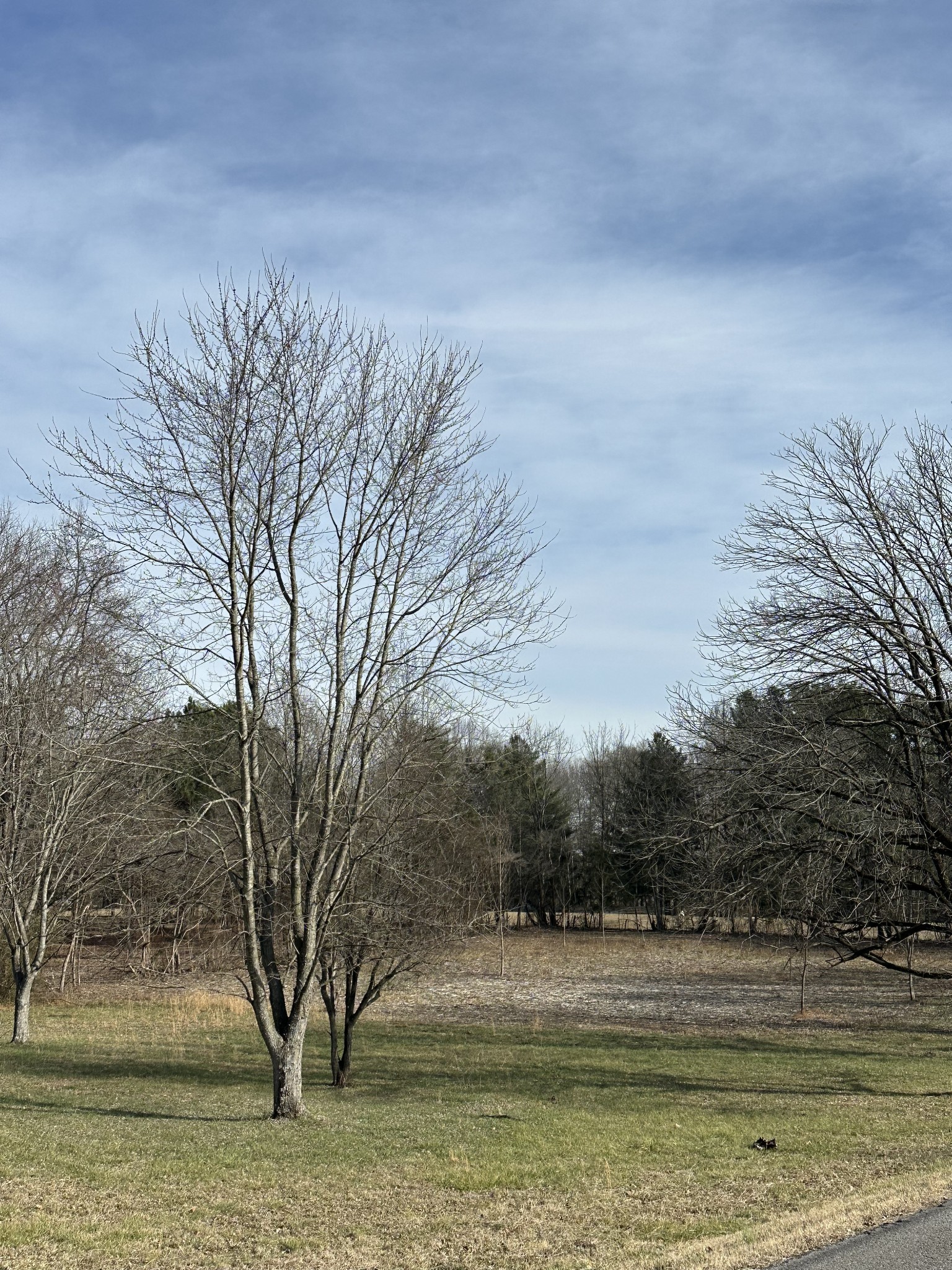 1991 Raymond Hodges Road Cottontown, TN 37048 - Photo 2 of 20 a view of a lake view