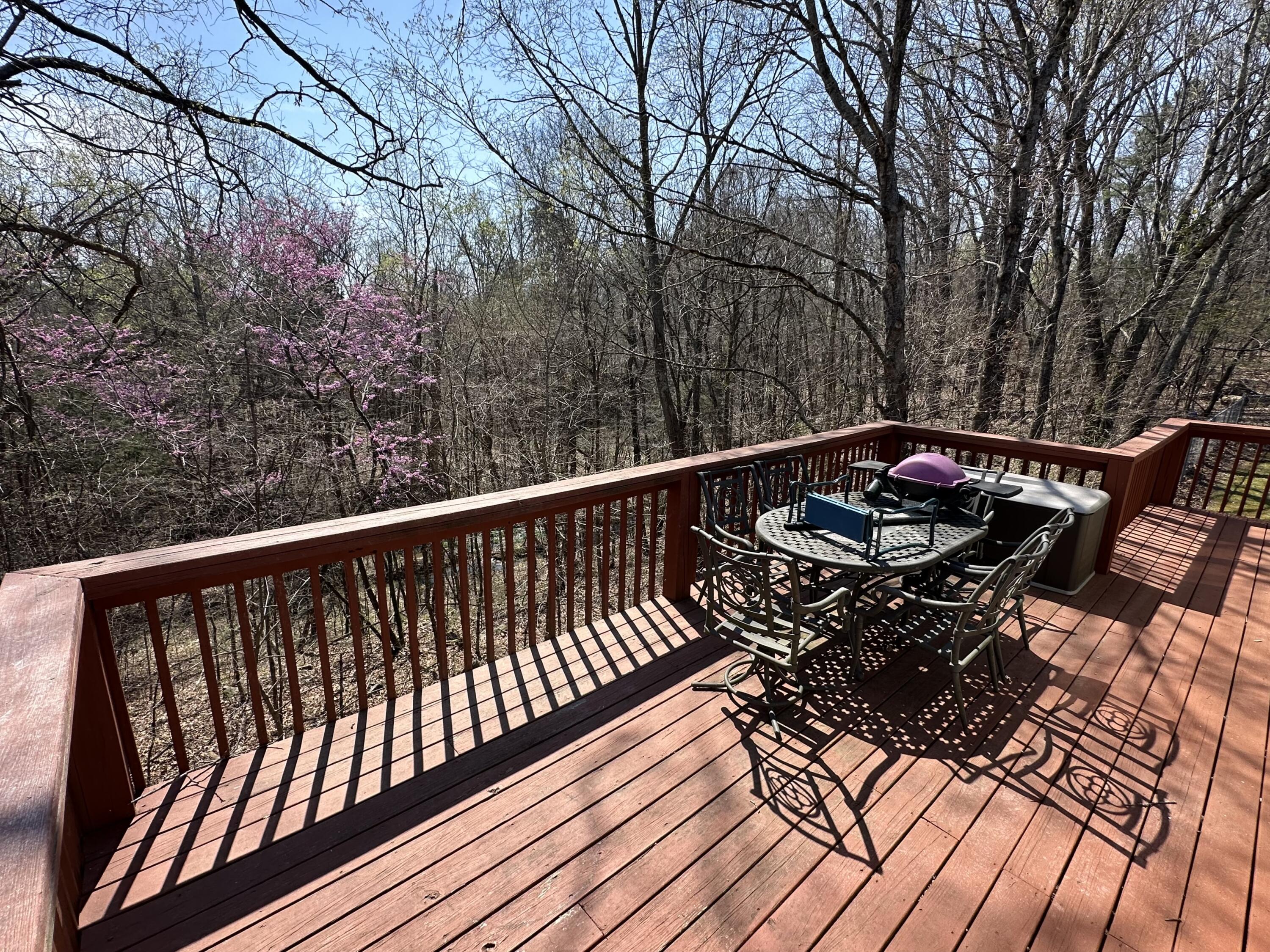 7312 Highway 60 Georgetown, TN 37336 - Photo 25 of 58 Copy of IMG_2504