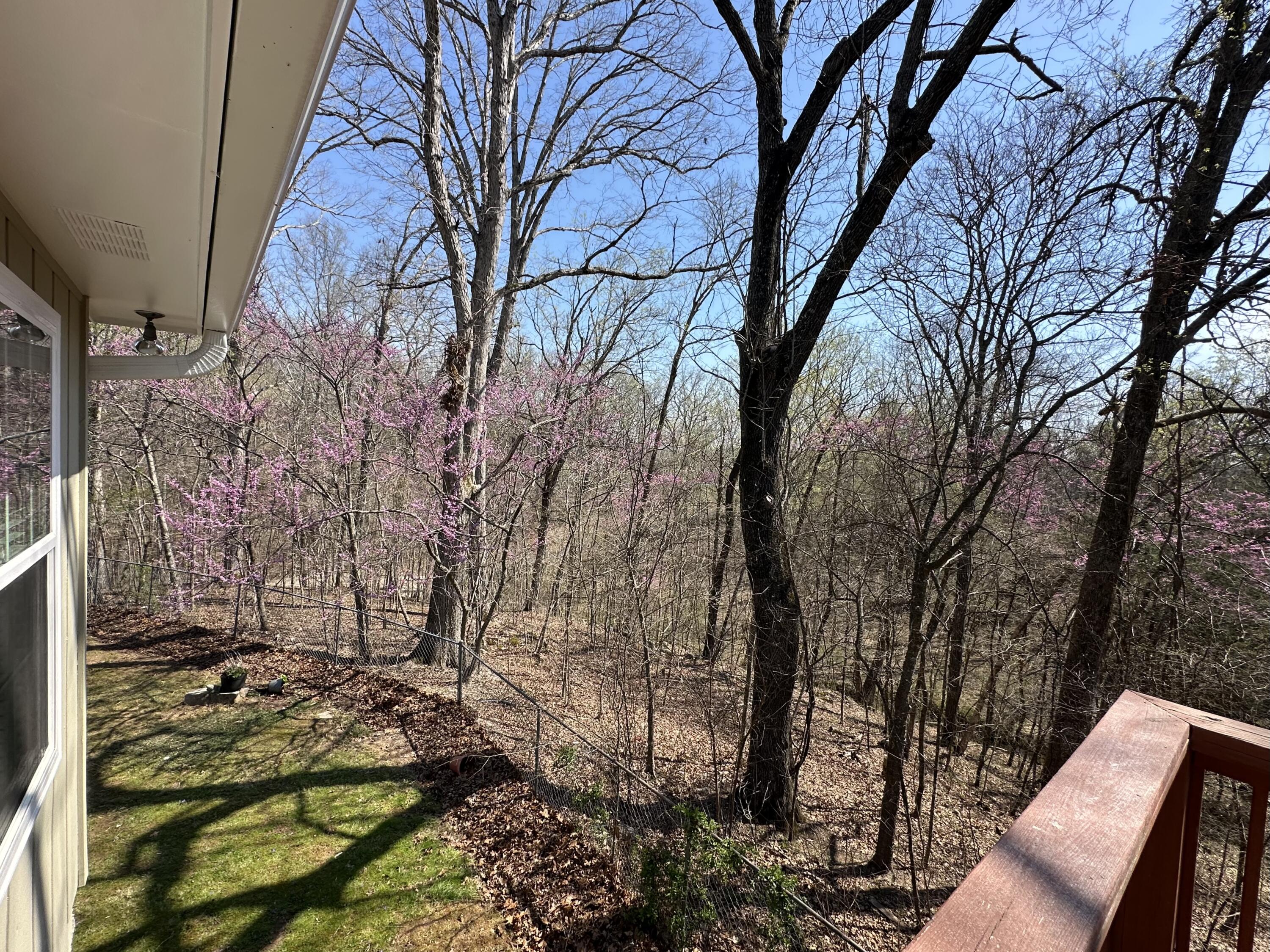 7312 Highway 60 Georgetown, TN 37336 - Photo 28 of 58 Copy of IMG_2498