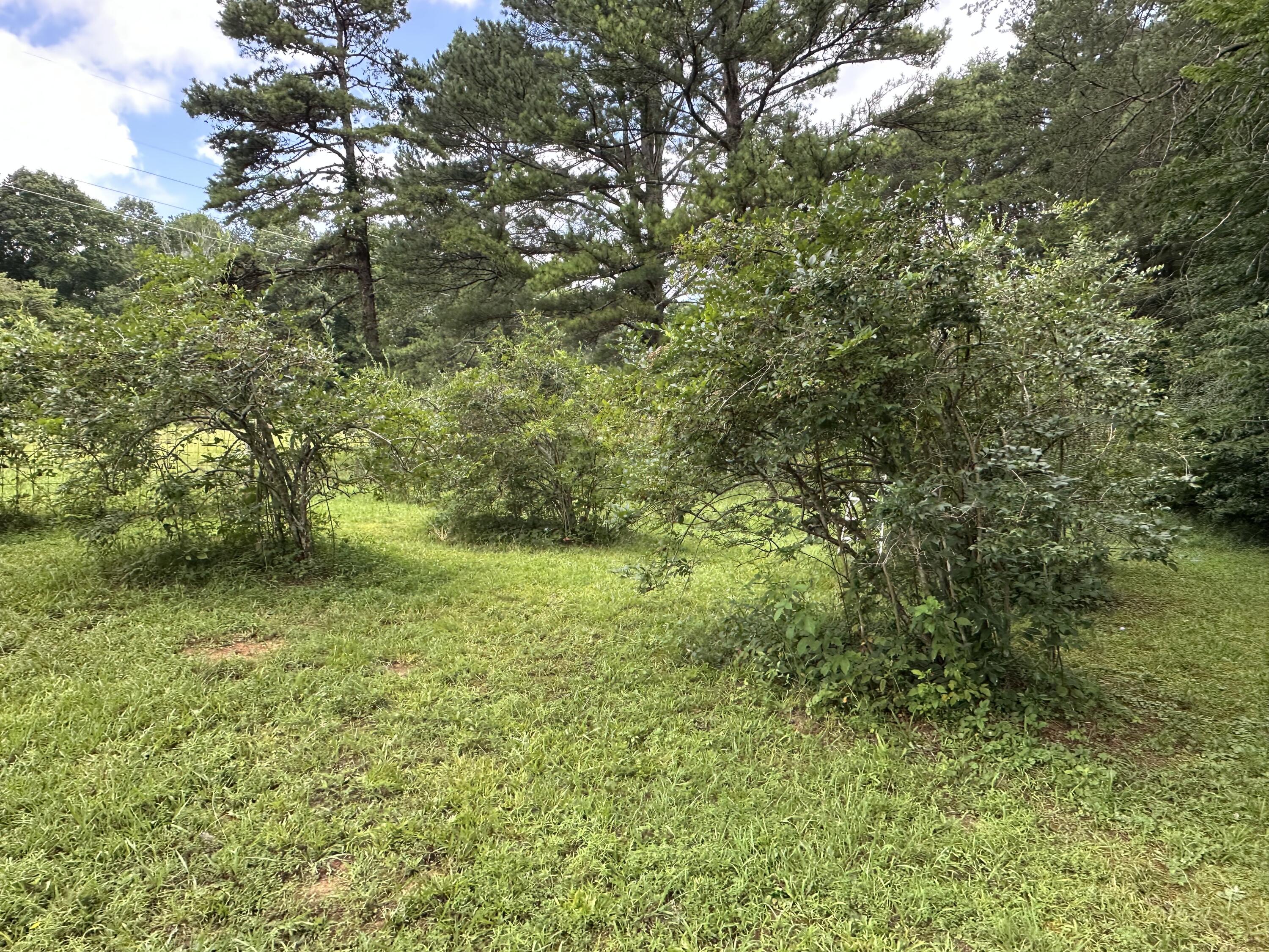 7312 Highway 60 Georgetown, TN 37336 - Photo 37 of 58 IMG_4396