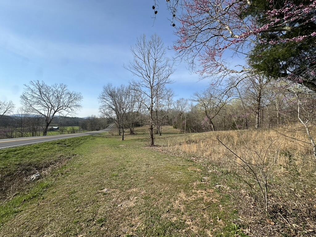 7312 Highway 60 Georgetown, TN 37336 - Photo 44 of 58 7F3A0980-BCB4-46A9-BAF7-9F0504C09B98_1_1