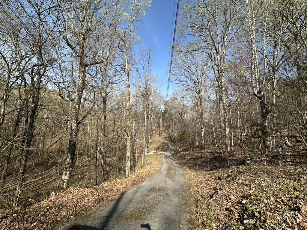 7312 Highway 60 Georgetown, TN 37336 - Photo 47 of 58 12AF873D-3E49-4BFE-8163-D4E68AFD822E_1_1