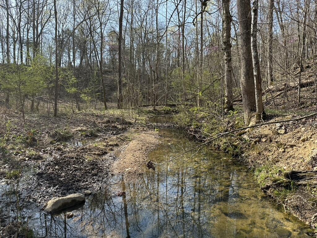 7312 Highway 60 Georgetown, TN 37336 - Photo 48 of 58 23F84BFF-A3CC-4E84-851F-0E2D77EFE1AB_1_1