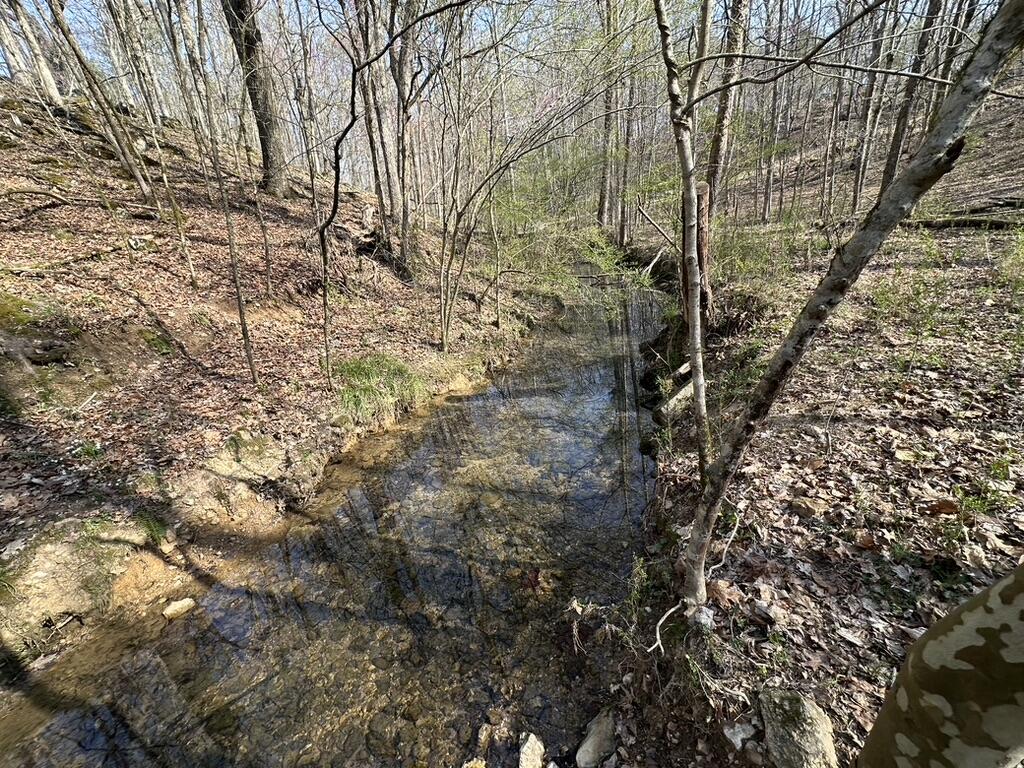 7312 Highway 60 Georgetown, TN 37336 - Photo 49 of 58 253D2444-F9CE-4F5C-87B7-CB8A92C70D42_1_1