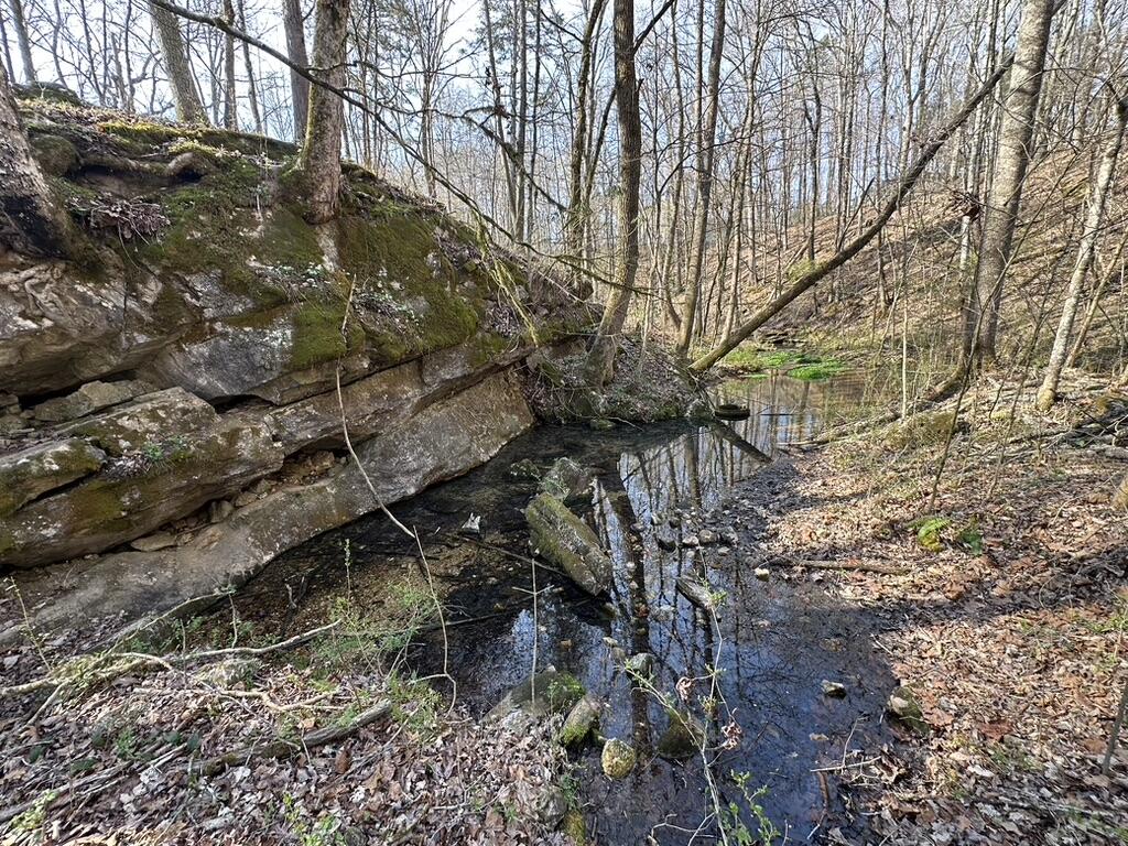 7312 Highway 60 Georgetown, TN 37336 - Photo 50 of 58 173282B3-E127-4692-931B-EA6D16968ABB_1_1