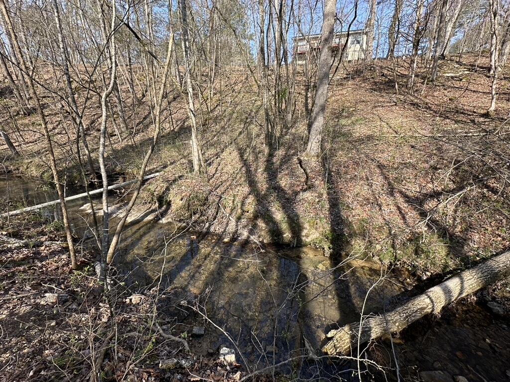 7312 Highway 60 Georgetown, TN 37336 - Photo 51 of 58 7C84769B-9C4A-4F21-BE9E-B5AFDB29DF8C_1_1