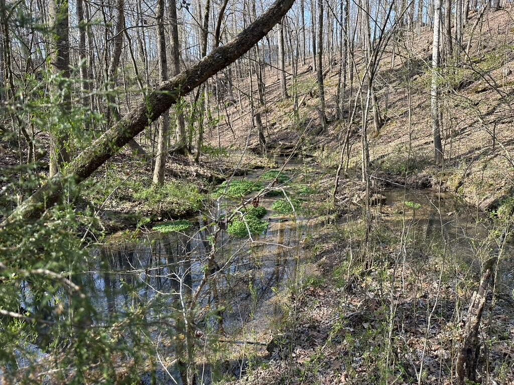 7312 Highway 60 Georgetown, TN 37336 - Photo 52 of 58 A710E679-FE9C-49E8-89EC-6CF8FDBAD7C3_1_1