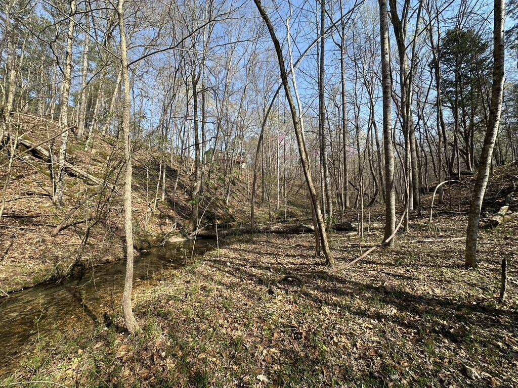 7312 Highway 60 Georgetown, TN 37336 - Photo 54 of 58 E8B33720-E096-4E5E-82D6-5EDA5859DA0D_1_1