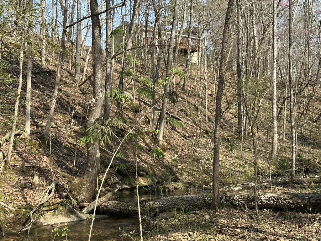 7312 Highway 60 Georgetown, TN 37336 - Photo 55 of 58 7867BA9C-78BB-4229-8159-29E3CEE53E09_1_1