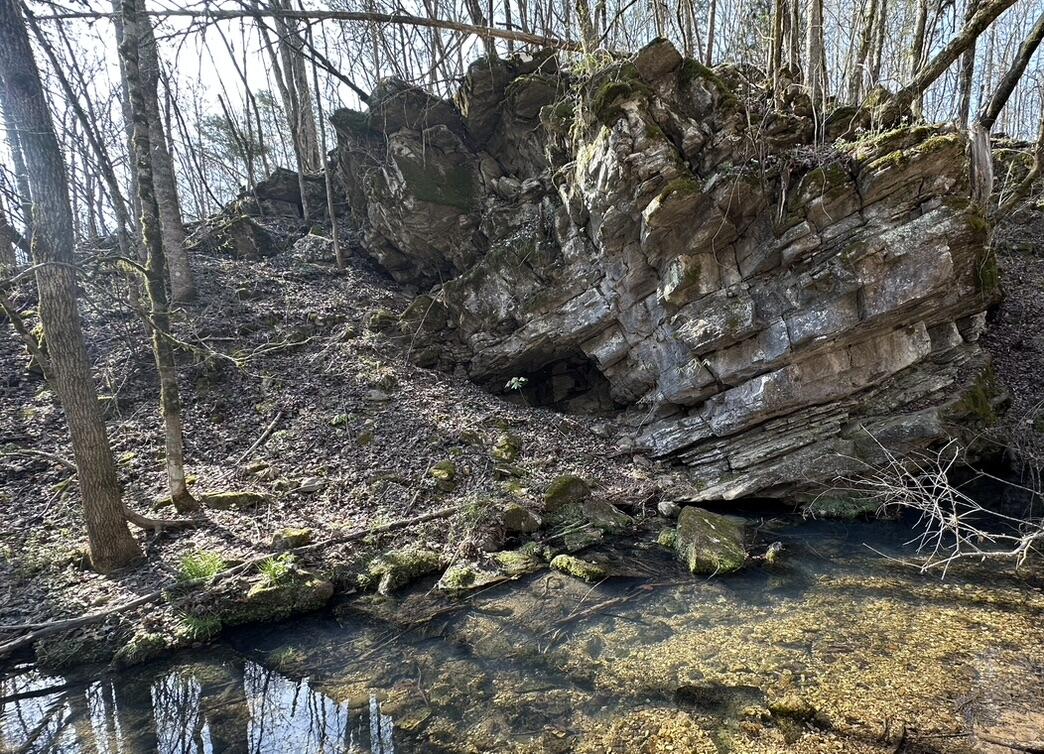 7312 Highway 60 Georgetown, TN 37336 - Photo 56 of 58 ADD6B0C7-04C0-4CEB-B18B-51228A45D849_1_1