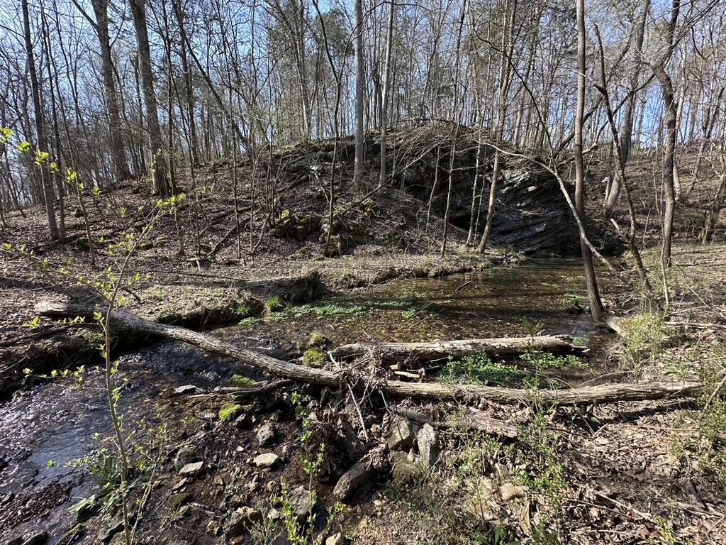 7312 Highway 60 Georgetown, TN 37336 - Photo 57 of 58 57294795-9D79-4BC7-8FDF-F306CC3C385F_1_1