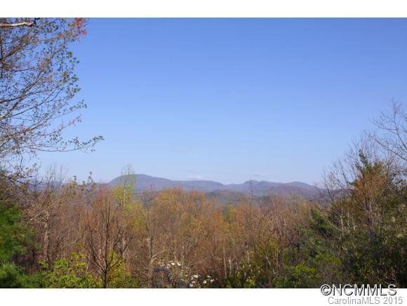 195 Panther Ridge Road Brevard, NC 28712 - Photo 2 of 24 Gallery Image 2