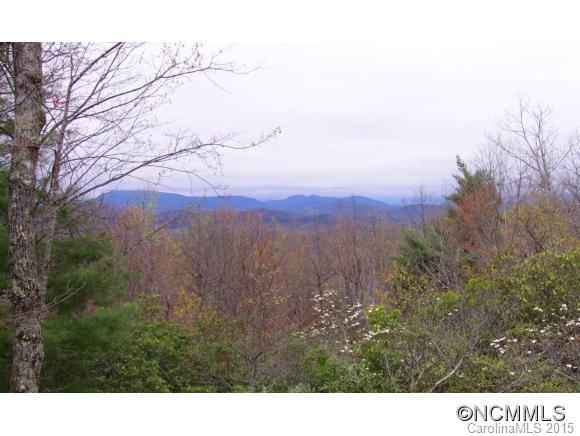 195 Panther Ridge Road Brevard, NC 28712 - Photo 3 of 24 Gallery Image 3