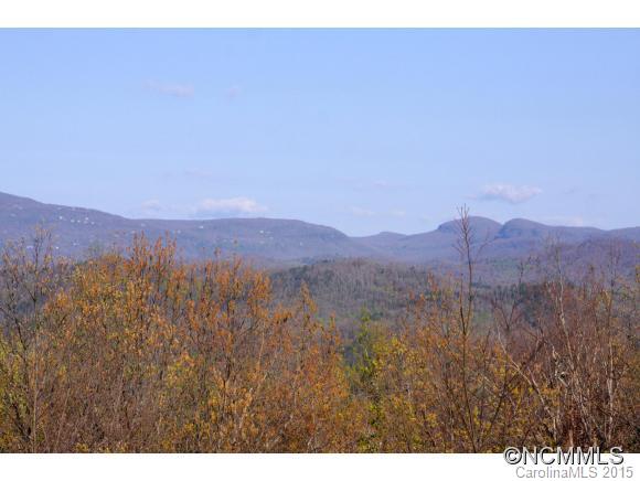 195 Panther Ridge Road Brevard, NC 28712 - Photo 24 of 24 Gallery Image 24
