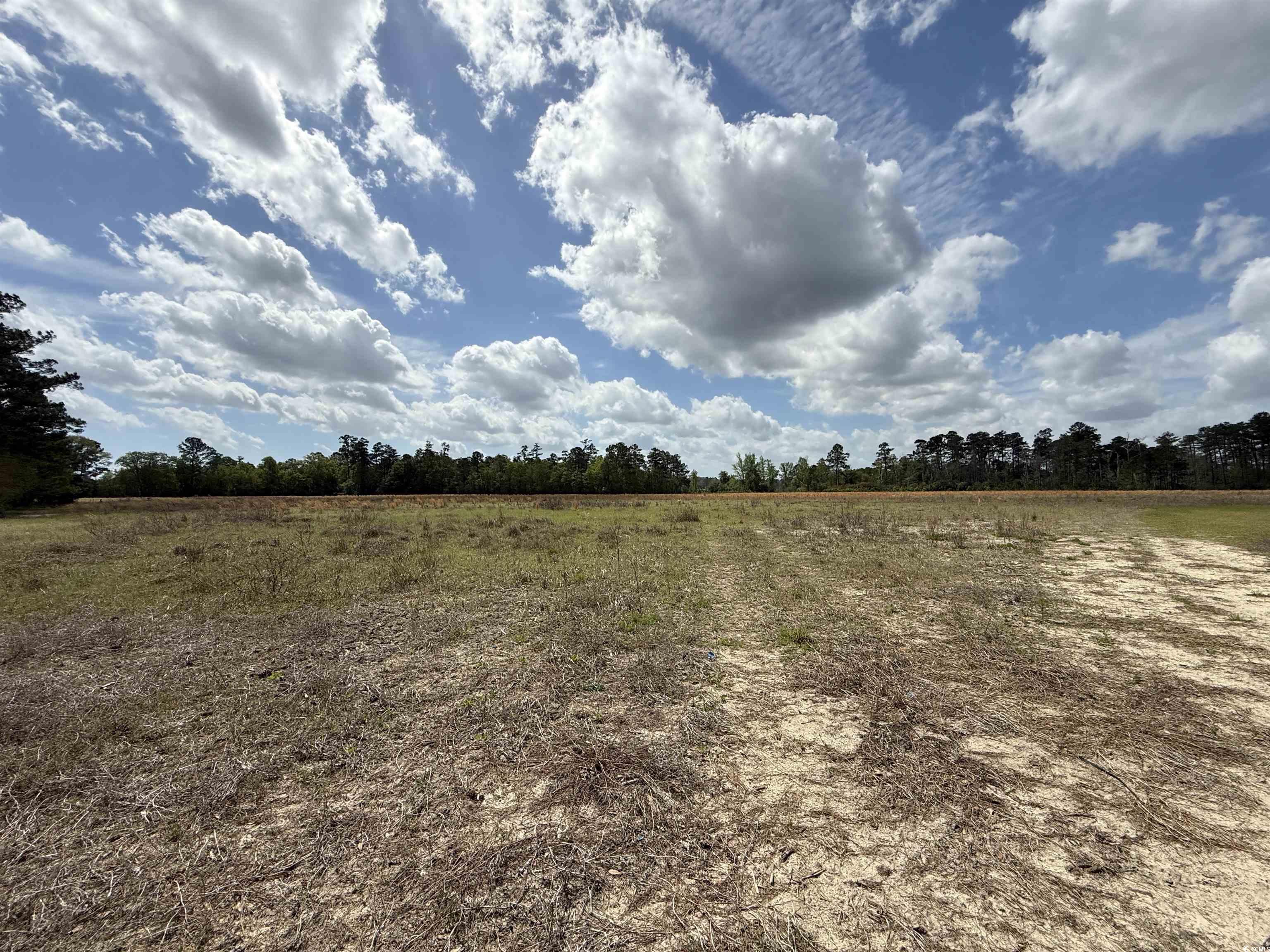 Lot 7 Apple Valley Road Loris, SC 29569 - Photo 1 of 19