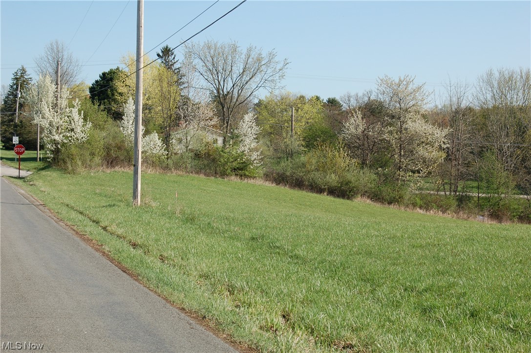 Ryan Road Medina, OH 44256 - Photo 2 of 15 Gallery Image 2