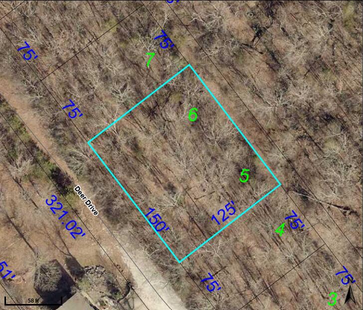 190 Deer Drive Ridgedale, MO 65739 - Photo 2 of 13 DEER SATALITE