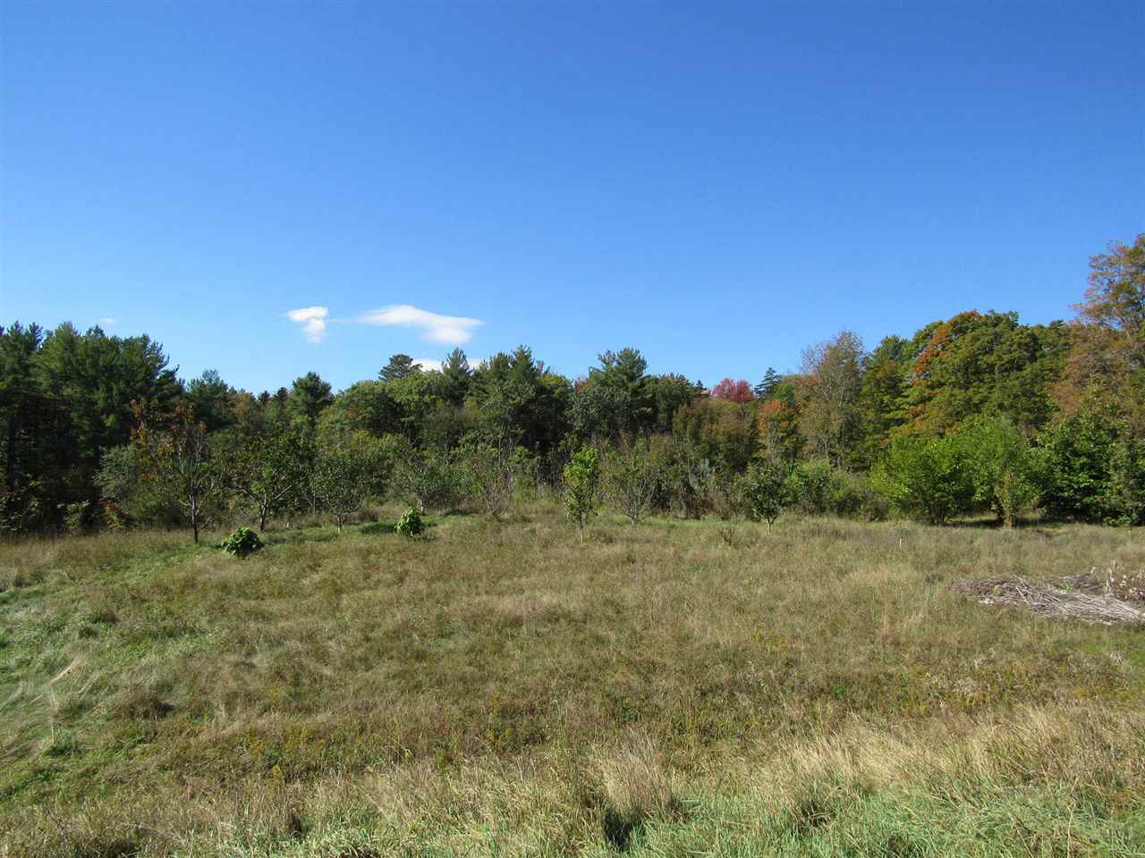 1616 Windham Hill Road Townshend, VT 05359 - Photo 7 of 9
