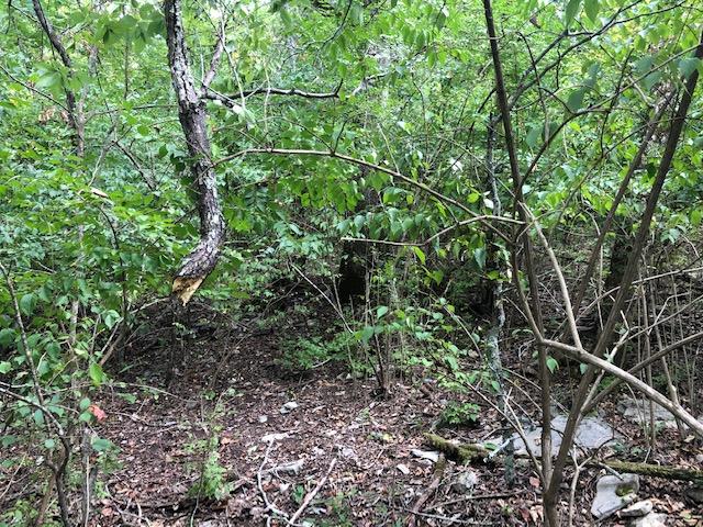 4943 Gann Store Road, Unit 14A Hixson, TN 37343 - Photo 2 of 3 gann store 2