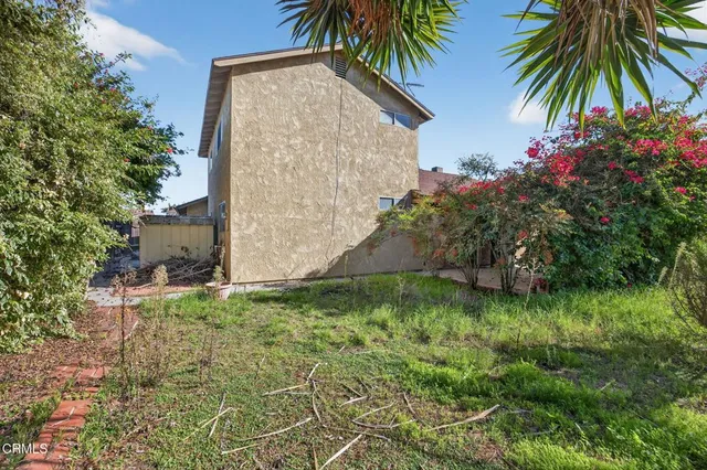 a view of a yard with a tree