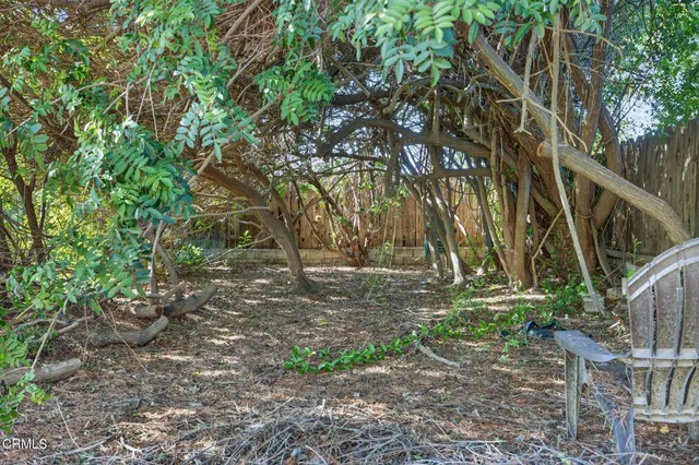 a view of outdoor space and yard