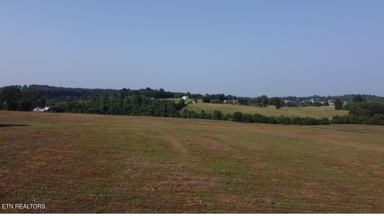 377 Alfred McCammon Road Maryville, TN 37804 - Photo 11 of 18 Image 11