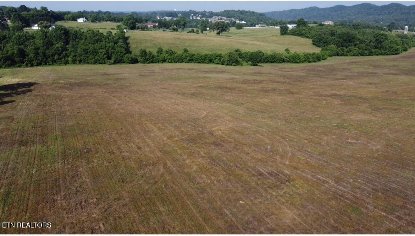 377 Alfred McCammon Road Maryville, TN 37804 - Photo 16 of 18 Image 5
