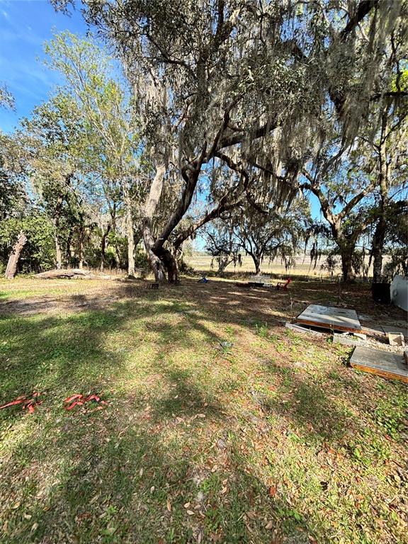14179 Northeast 53rd Court Road Citra, FL 32113 - Photo 5 of 8 a view of dirt yard with a fountain